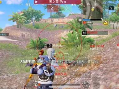 和平精英怎么登录辅助（和平精英怎么弄辅助）